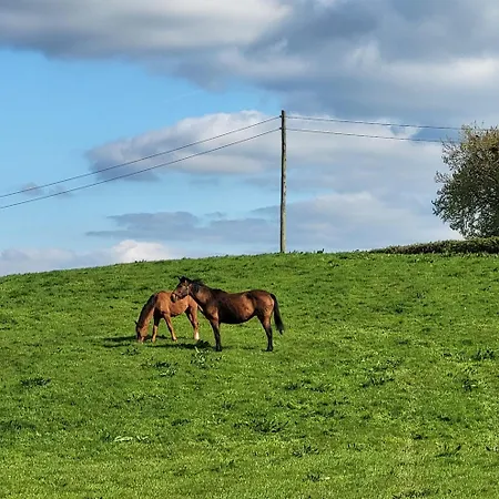 The Piggery Tipperary - Snore By The Nore Clonakenny (Tipperary)