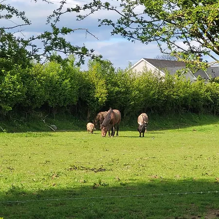 Lejlighed The Piggery Tipperary - Snore By The Nore Clonakenny (Tipperary)