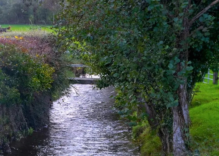 The Piggery Tipperary - Snore By The Nore * Clonakenny (Tipperary)